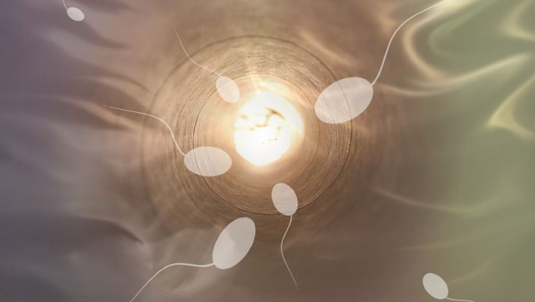 1606280729 sperm 806391960 720