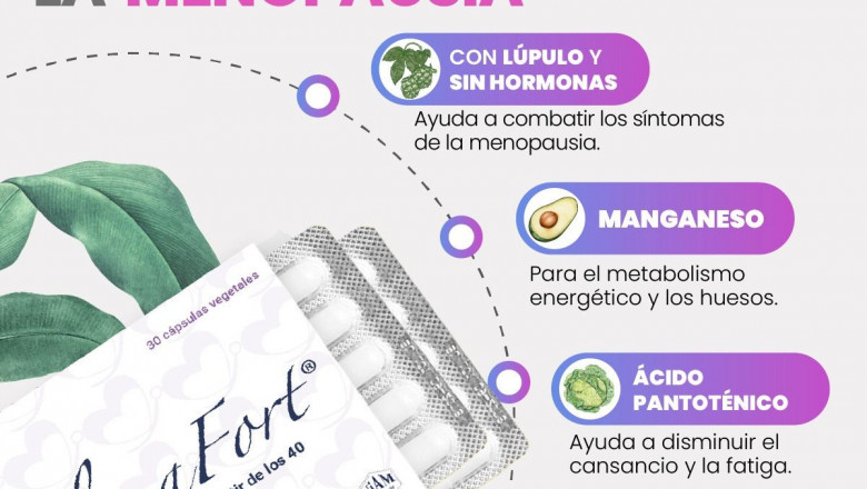 1639477210 remedios naturales menopausia