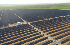 1639655632 pv frv plant 