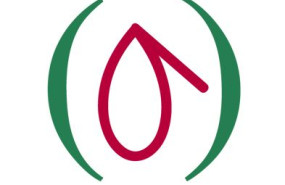 do aceite de madrid 2 do aceite de madrid 2