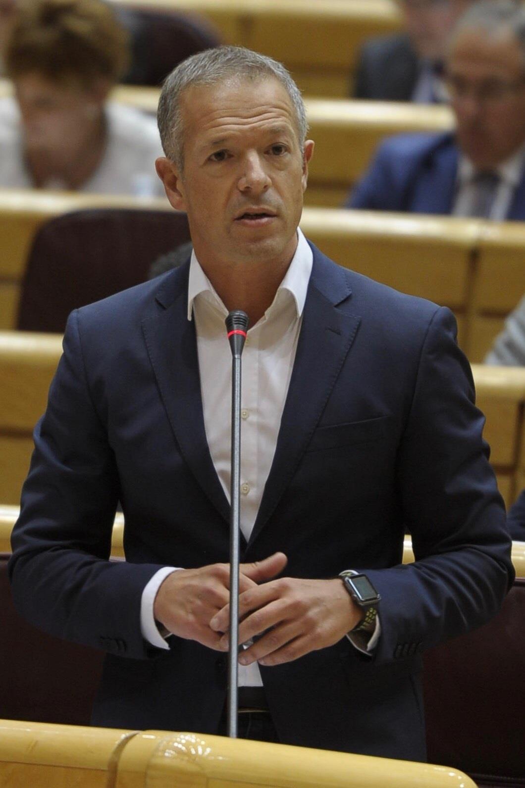Ander Gil, portavoz del PSOE en el Senado | PSOE ep ander gil portavozpsoesenado