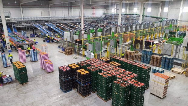 ep archivo   the natural fruit company