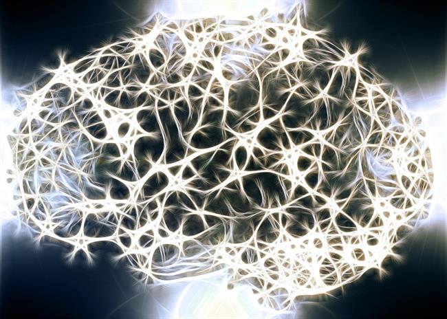 Cerebro, conexiones cerebrales | PIXABAY ep cerebro conexiones cerebrales