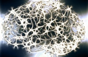ep cerebro conexiones cerebrales