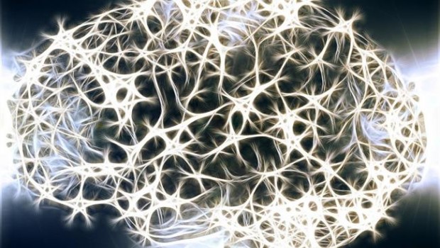 ep cerebro conexiones cerebrales