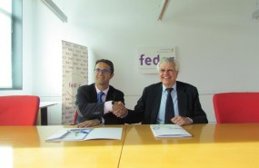 ep federla aeccunenimpulsarinvestigacion