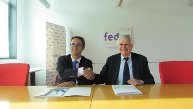 ep federla aeccunenimpulsarinvestigacion