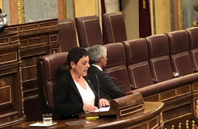 ep la portavoz de eh bildu mertxe aizpurua interviene en el pleno del congreso y el secretario