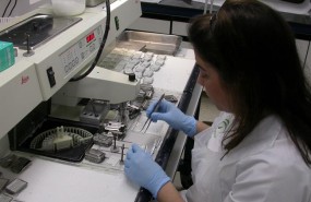 ep laboratoriohospital universitariovalme