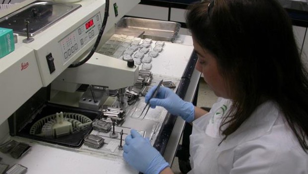 ep laboratoriohospital universitariovalme