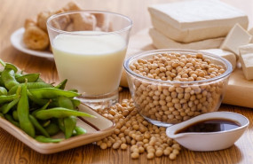 ep soy products