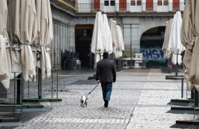 ep un hombre pasea a su perro por la vaca plaza mayor de madrid durante el sexto da del estado de