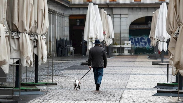 ep un hombre pasea a su perro por la vaca plaza mayor de madrid durante el sexto da del estado de
