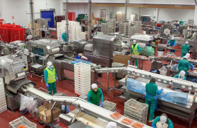 interior planta emcesa interior planta emcesa