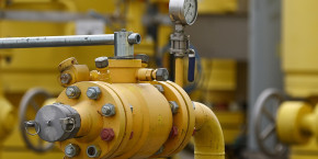 l ue veut inciter les pays membres a reduire leur consommation de gaz 