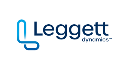 leggett dynamics