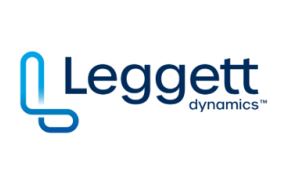 leggett dynamics leggett dynamics