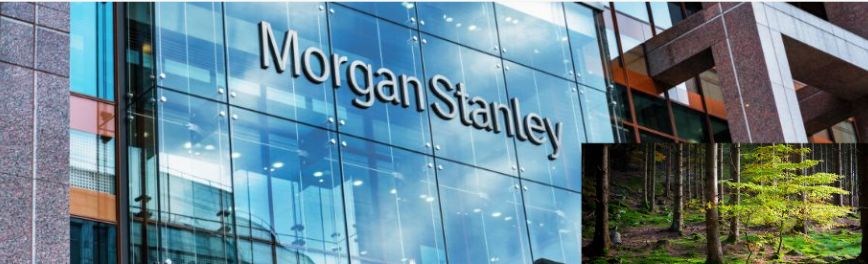 morganstanleycb8012211
