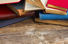 pececillos de plata libros pececillos de plata libros