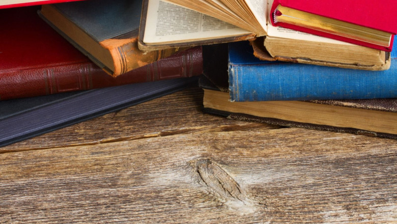 pececillos de plata libros 