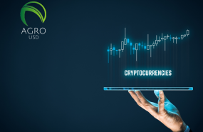 portada ndp 1 portada ndp 1