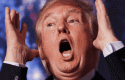 trumpshow trumpshow