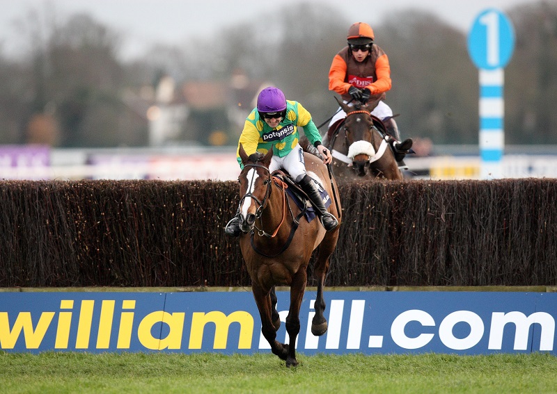 william hill horseracing racing horses william hill horseracing racing horses