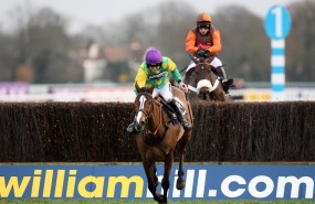 william hill horseracing racing horses