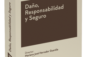 1238427 memento da o responsabilidad y seguro 1