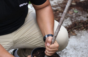 1600341521 vamosuncocheunarbol vertical comp 1600341521 vamosuncocheunarbol vertical comp