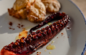 belfiaguilar kala gastro 47 