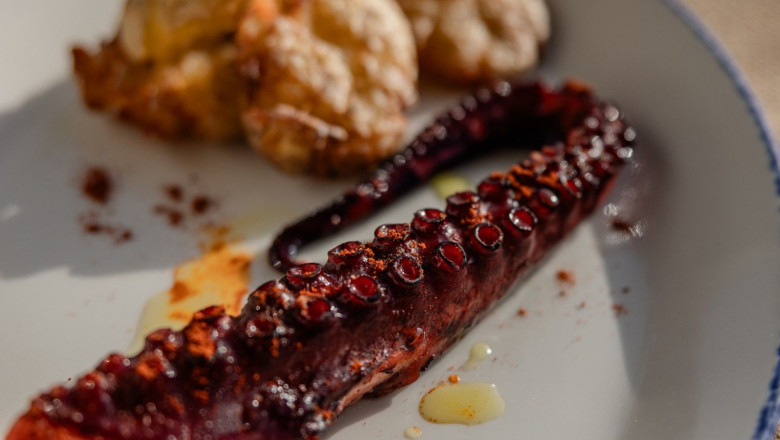 belfiaguilar kala gastro 47 