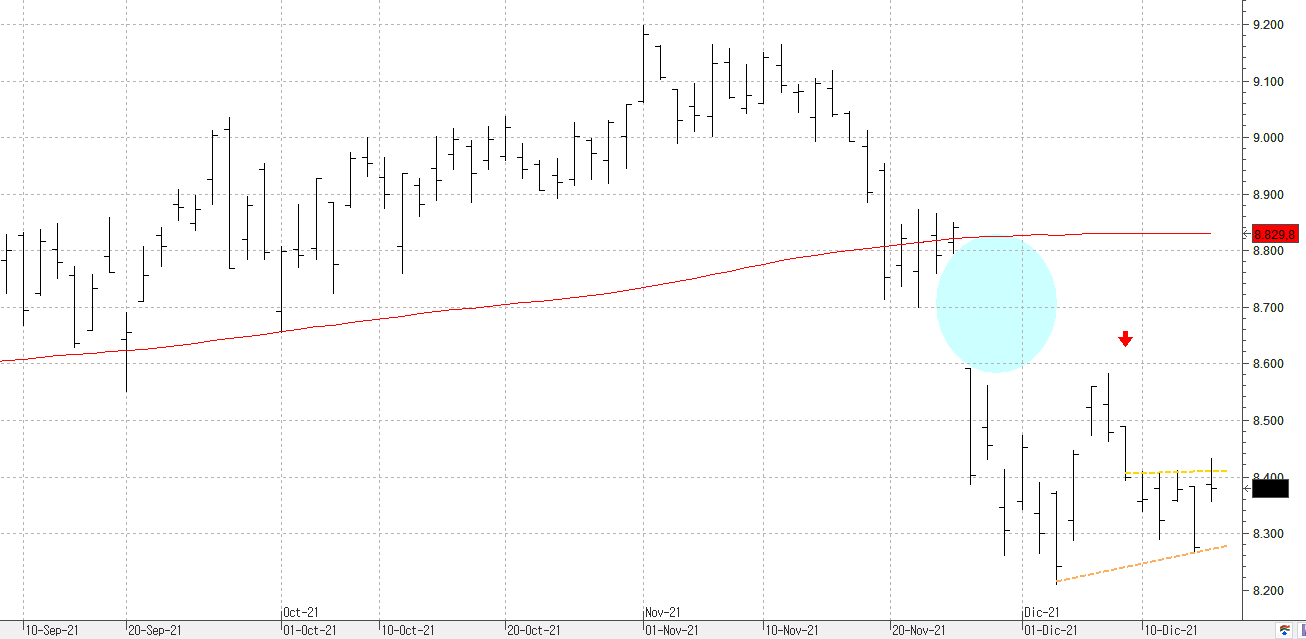 c161221ibex