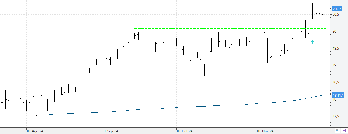 c281124endesa