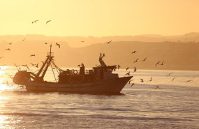 ep archivo barco pesquero 20230804100902 ep archivo barco pesquero 20230804100902