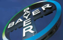 ep archivo   bayer tiene previsto invertir cerca de un millon de euros en las obras de ampliacion de