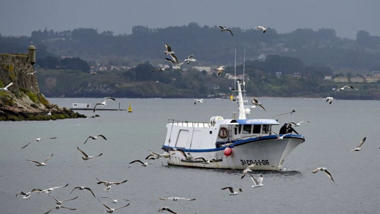 ep archivo un barco de flota artesanal tras la convocatoria de paro por parte de la federacion ep archivo un barco de flota artesanal tras la convocatoria de paro por parte de la federacion