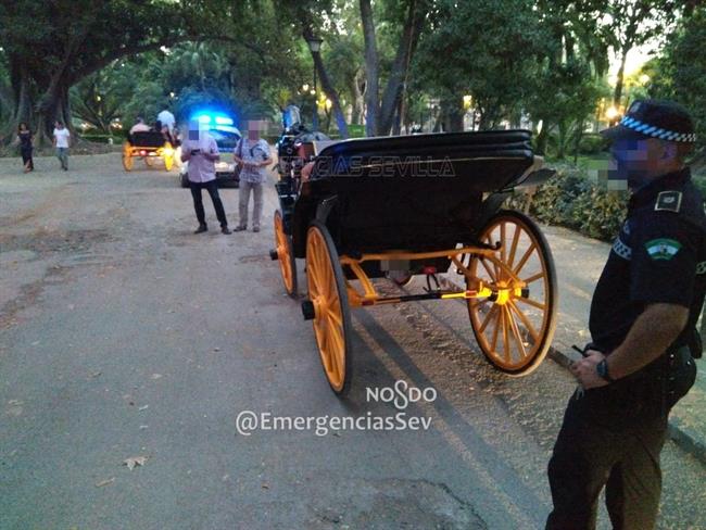 Cochero denunciado por la Policía Local de Sevilla. | AYUNTAMIENTO DE SEVILLA ep cochero denunciadola policia localsevilla