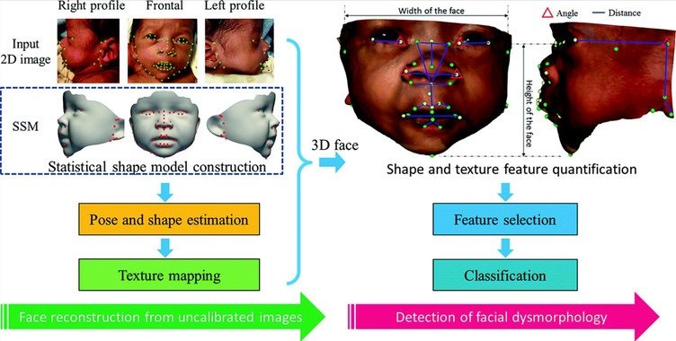 ep imagen del metodo propuesto para la reconstruccion de la cara en 3d e identificacion de la