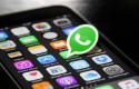 ep logowhatsapp ep logowhatsapp