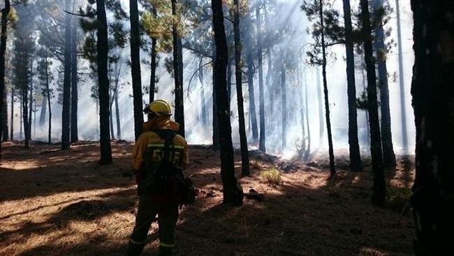 ep tareasextincion durnateincendiola palma