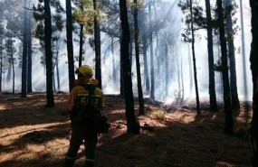 ep tareasextincion durnateincendiola palma