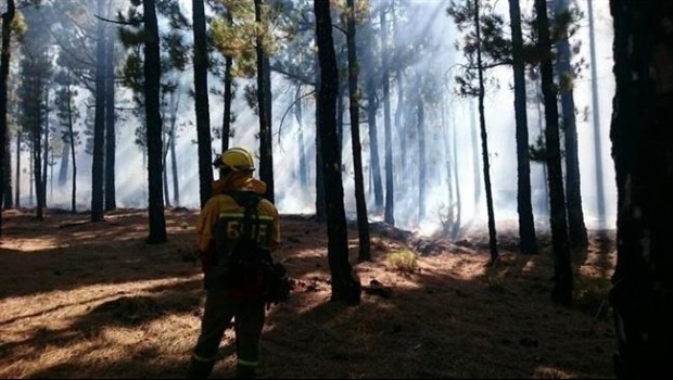 ep tareasextincion durnateincendiola palma
