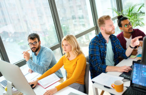 programa crowdip photo 