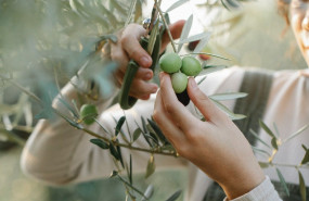 1624463935 molino jabonero