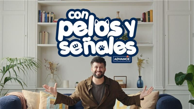 aff adv con pelos y senales