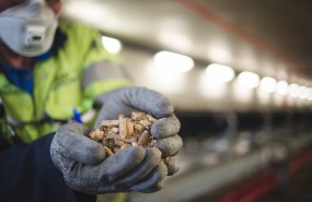 biomass green carbon drax biomass green carbon drax