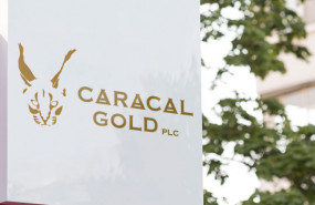 dl caracal gold mining exploration development logo precious metals kenya africa dl caracal gold mining exploration development logo precious metals kenya africa