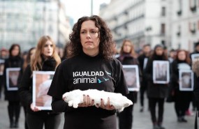 ep activistas a favorerradicarmaltrato animal