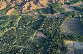 ep archivo   el gobierno contribuye con 400000 euros a organizaciones agroindustriales
